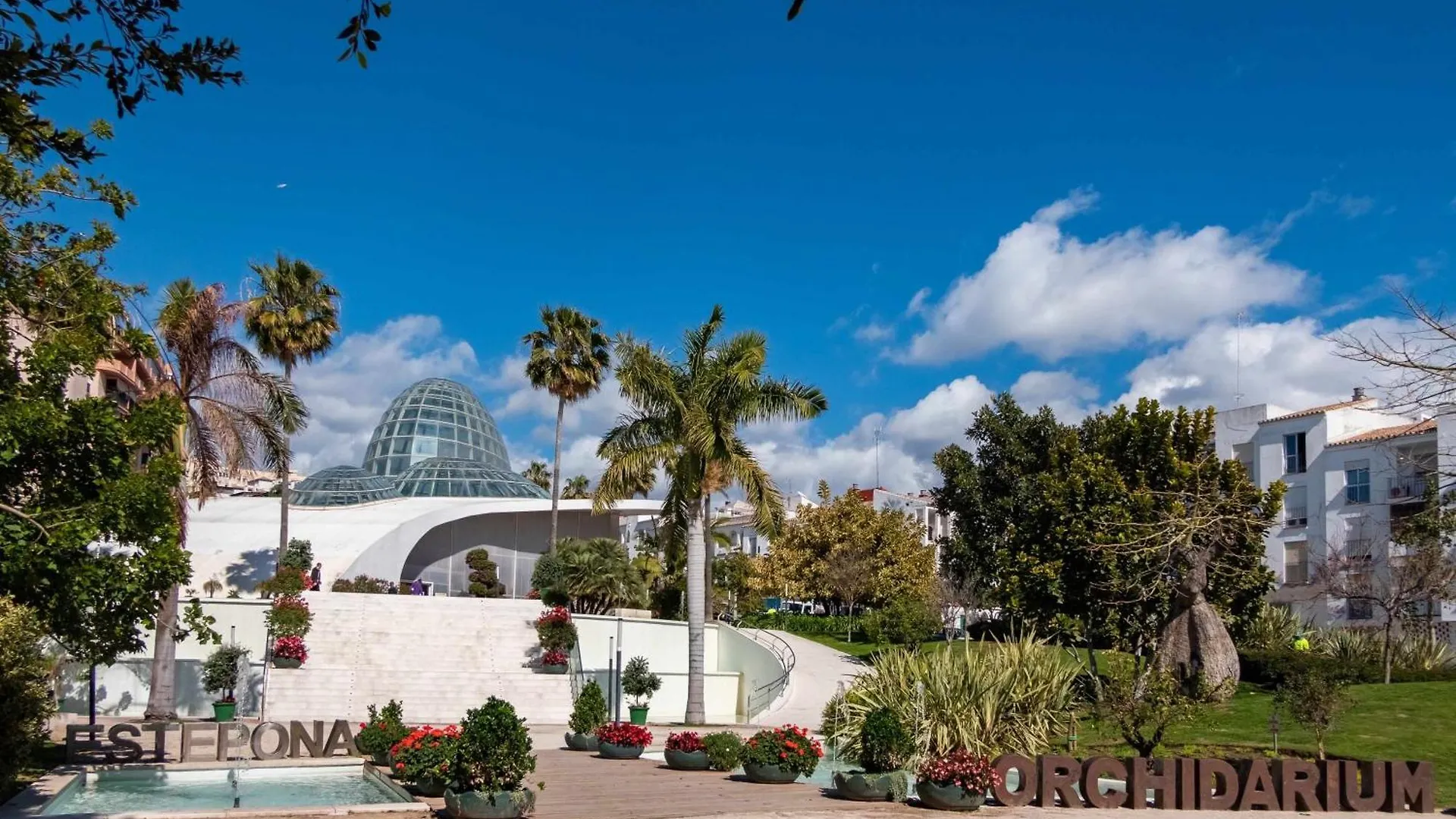Selecta Estepona Roof Top Pool 3